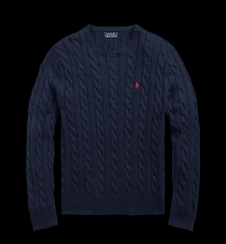 Polo Ralph Lauren sweater  (lots of colorways available)